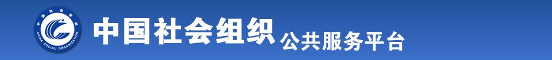 在线播放用力操我的小逼逼全国社会组织信息查询